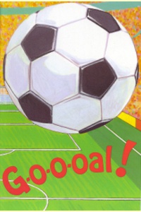 voetbalboek_kaft_260_385